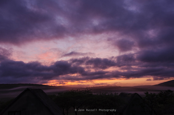 Jenn Russell Photography - 