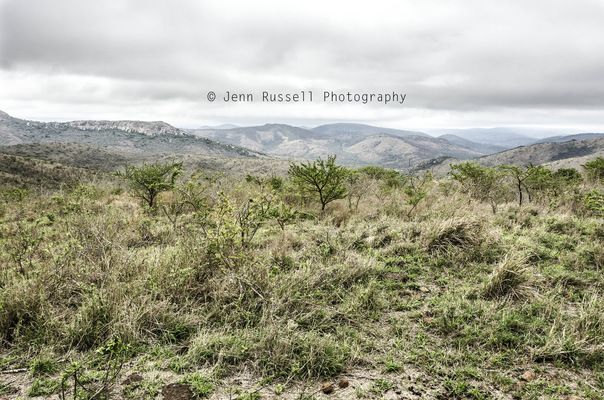 Jenn Russell Photography - 