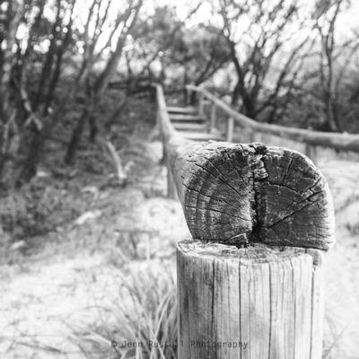 Jenn Russell Photography - 