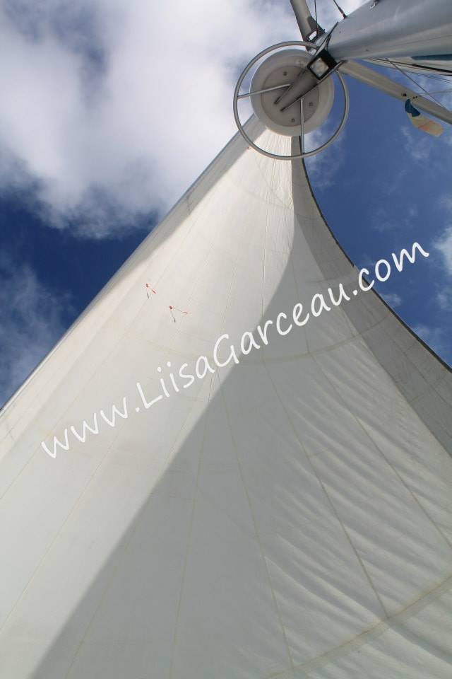 Bespoke Art by Liisa Garceau - Sailing Away