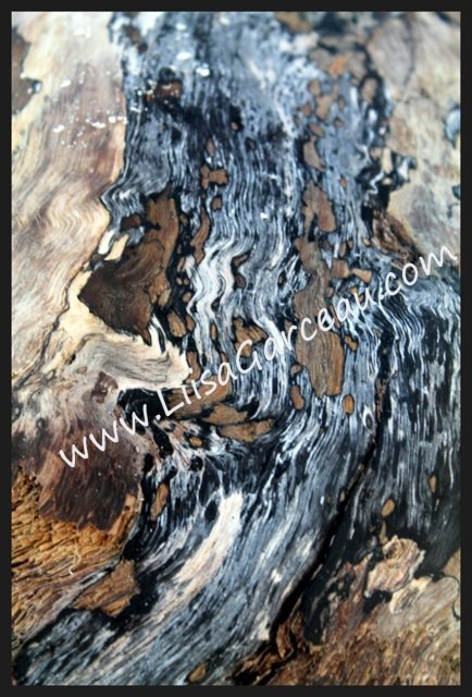 Bespoke Art by Liisa Garceau - Close up of drift wood.