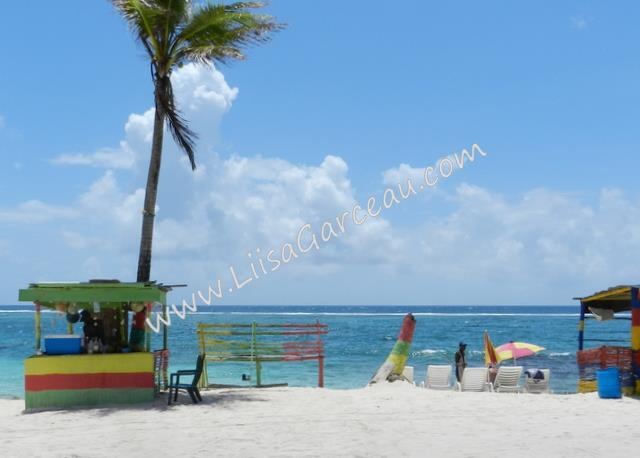 Bespoke Art by Liisa Garceau - Coconut stop San Andrés, Columbia.