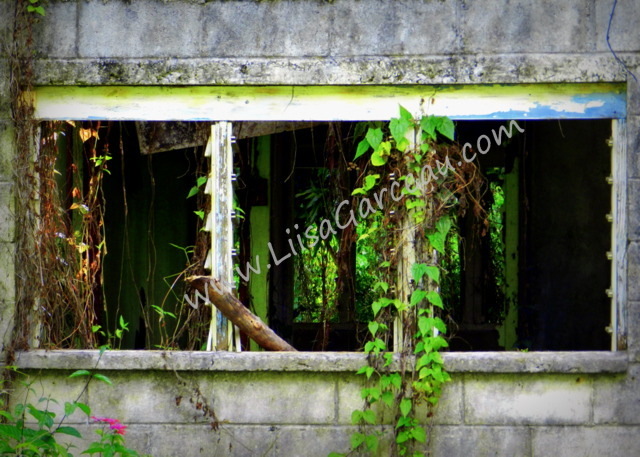 Bespoke Art by Liisa Garceau - Abandonded II Aitutaki, Cook Islands.