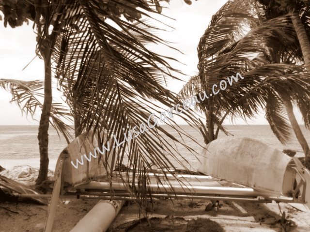 Bespoke Art by Liisa Garceau - “Forgotten” San Andrés, Columbia.