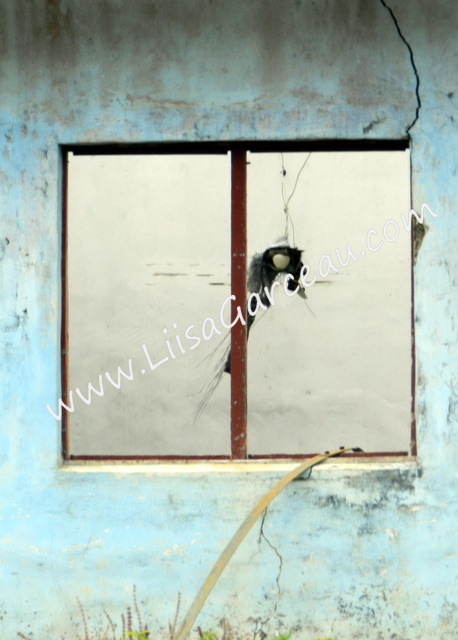 Bespoke Art by Liisa Garceau - Abandonded III Aitutaki, Cook Islands.