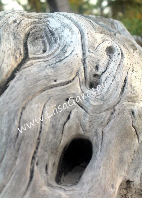 Bespoke Art by Liisa Garceau - Boo