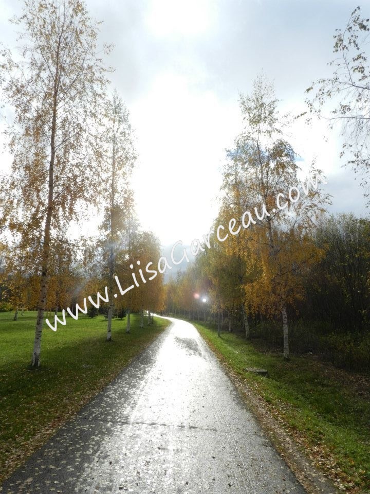 Bespoke Art by Liisa Garceau - Autumn glow Oulu, Finland.