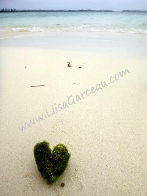 Bespoke Art by Liisa Garceau - Drifting Heart San Blas Islands.