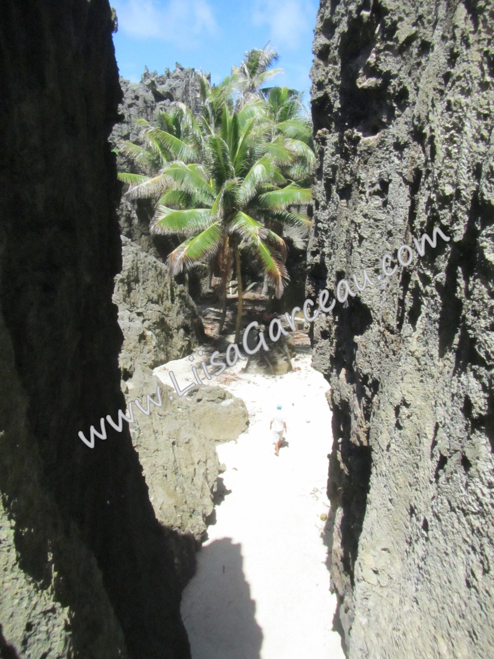 Bespoke Art by Liisa Garceau - Hidden Niue.
