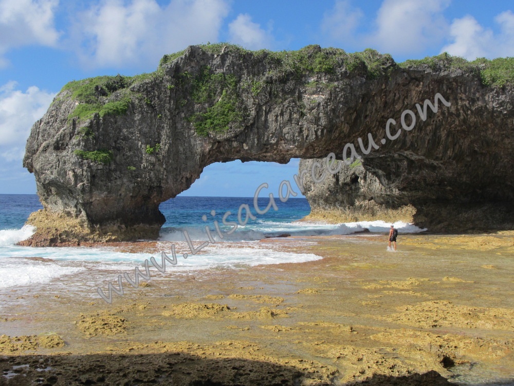 Bespoke Art by Liisa Garceau - Niue.