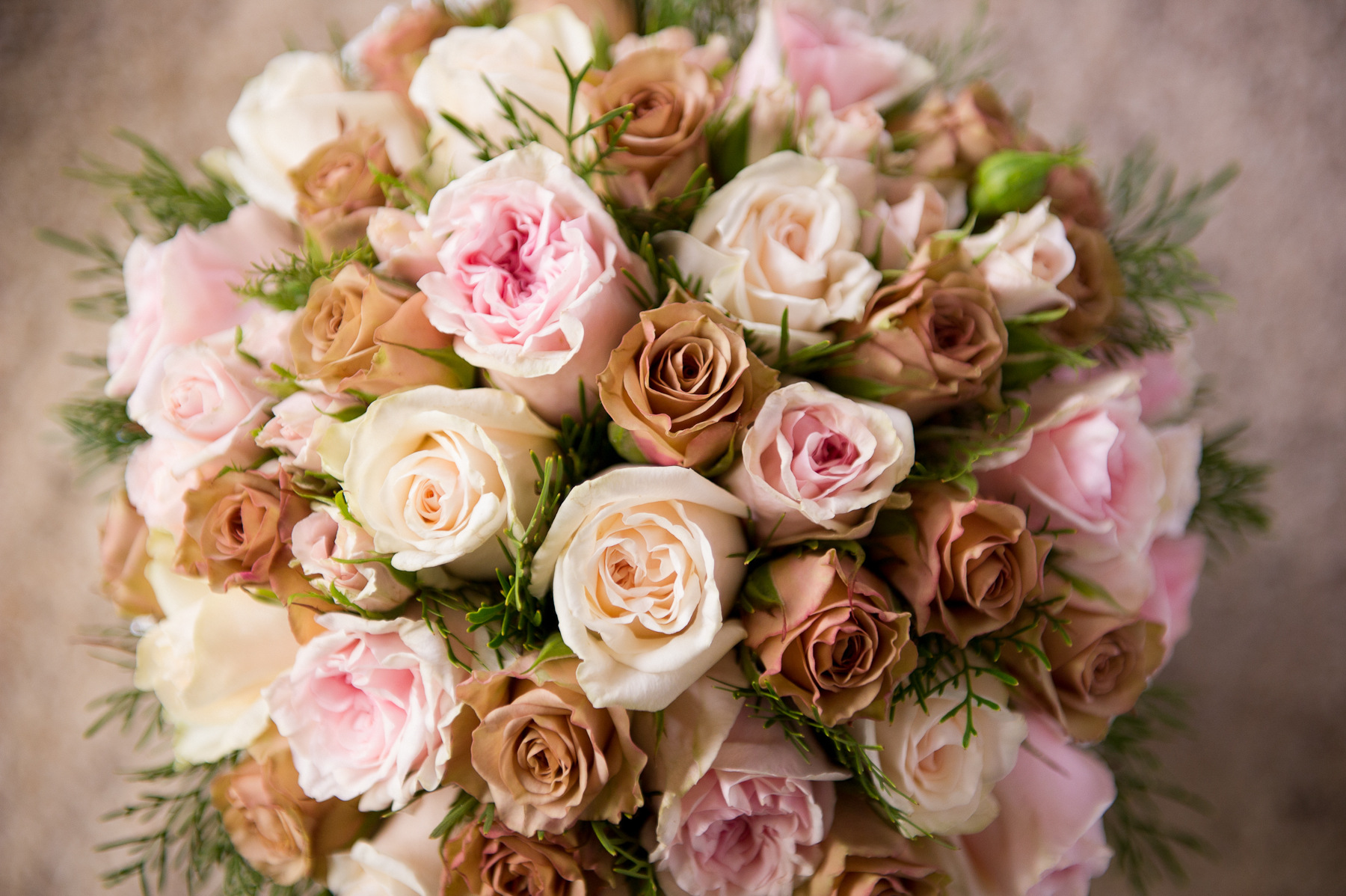 Aeon Capture Photography - 