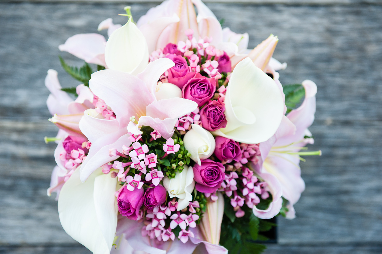 Aeon Capture Photography - 