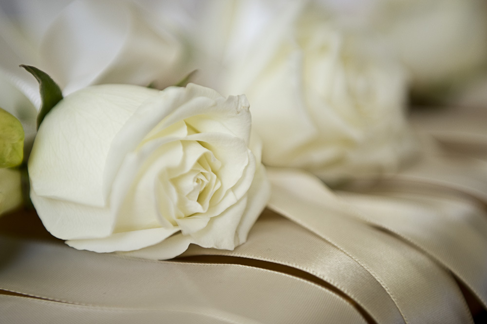 Aeon Capture Photography - 