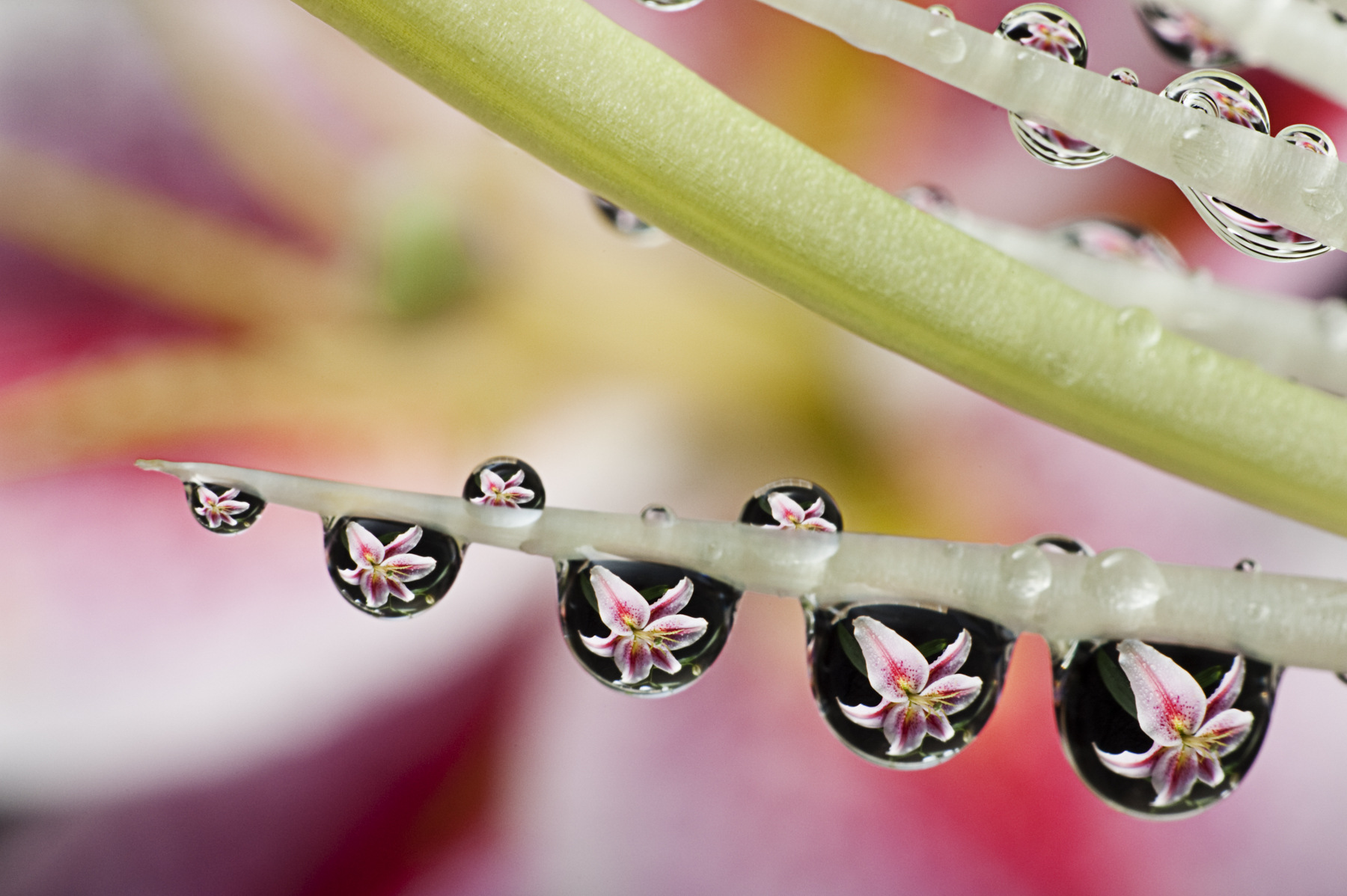 Aeon Capture Photography - 