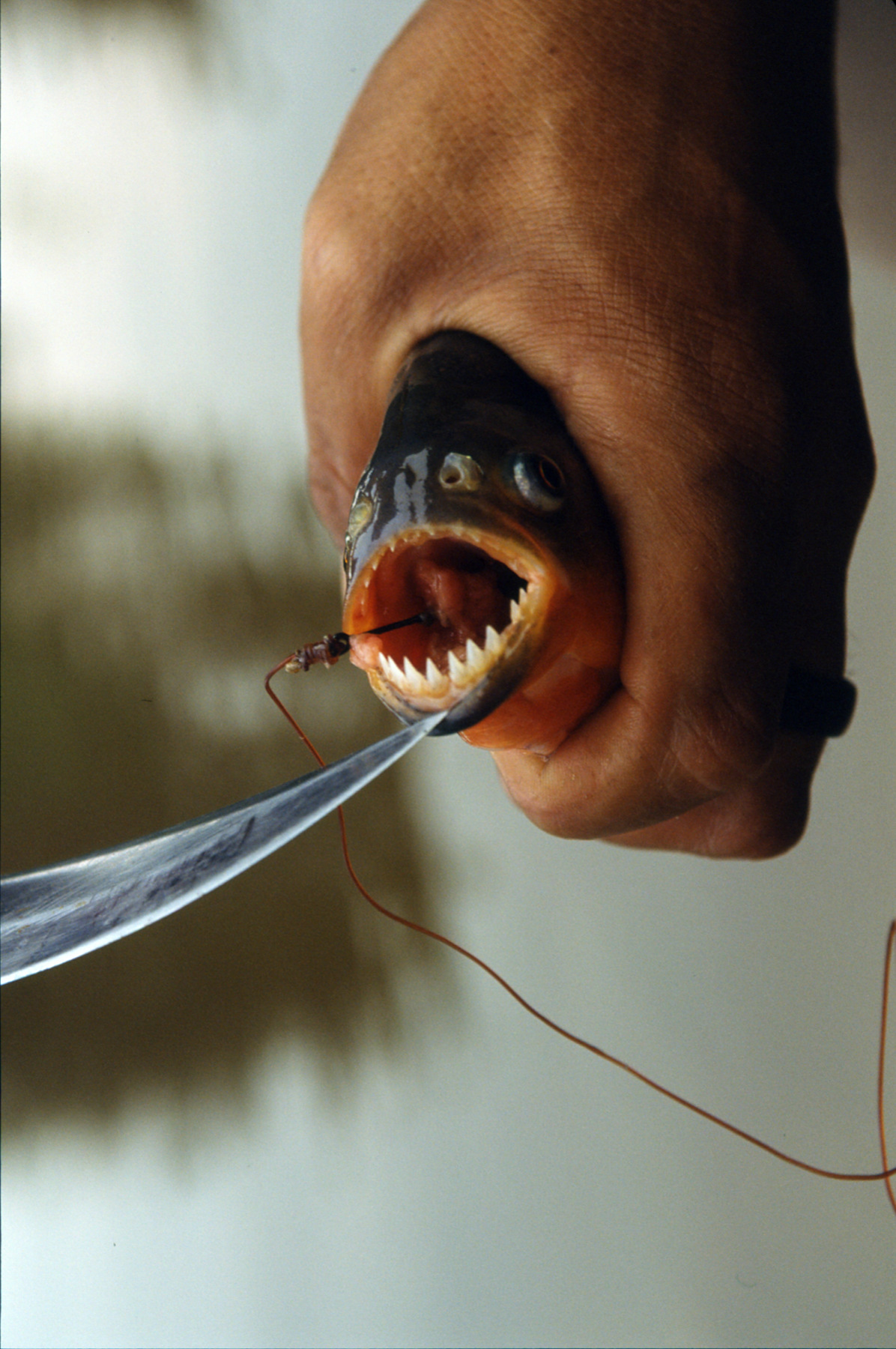 Aeon Capture Photography - 