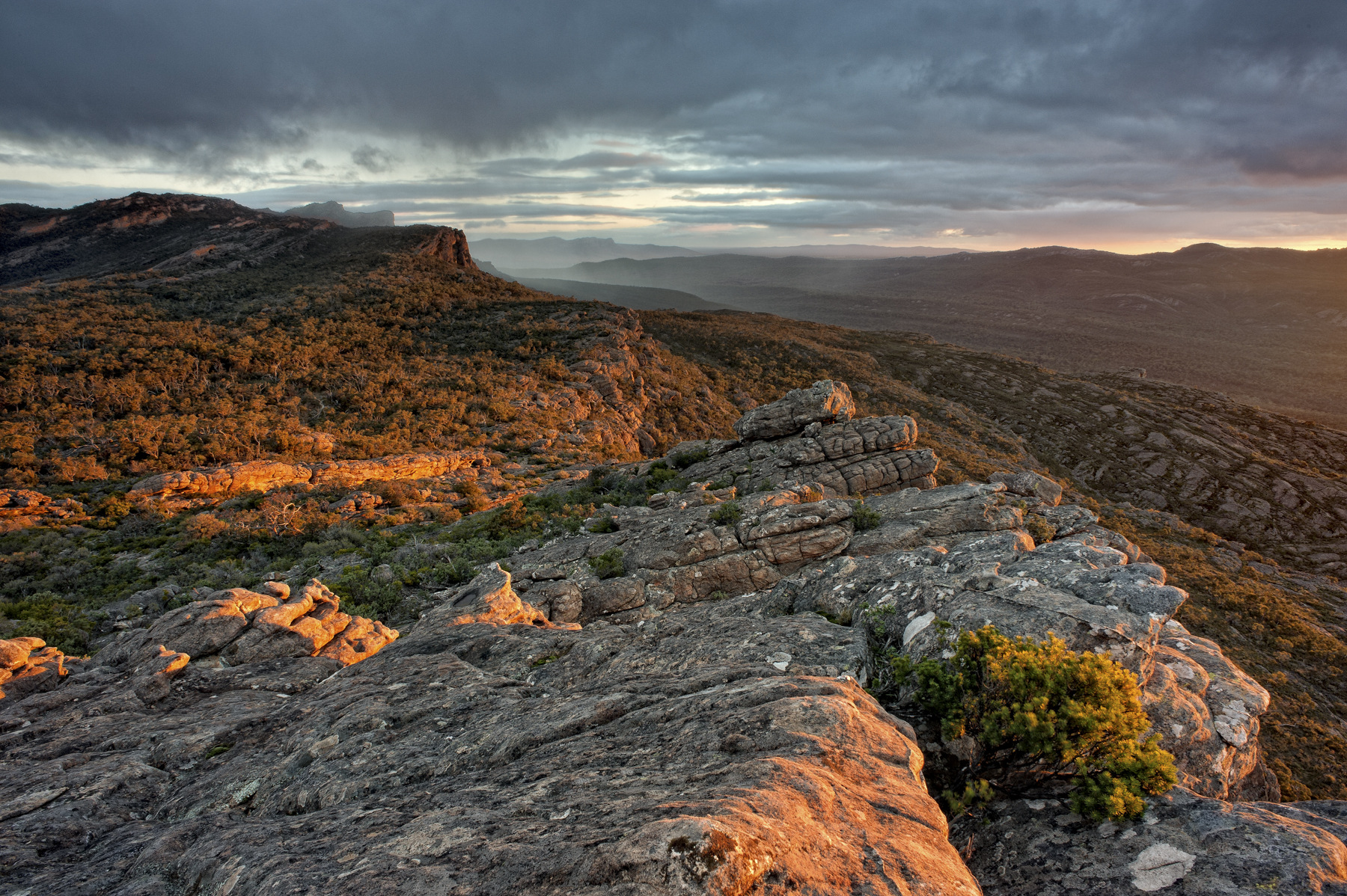 Aeon Capture Photography - 