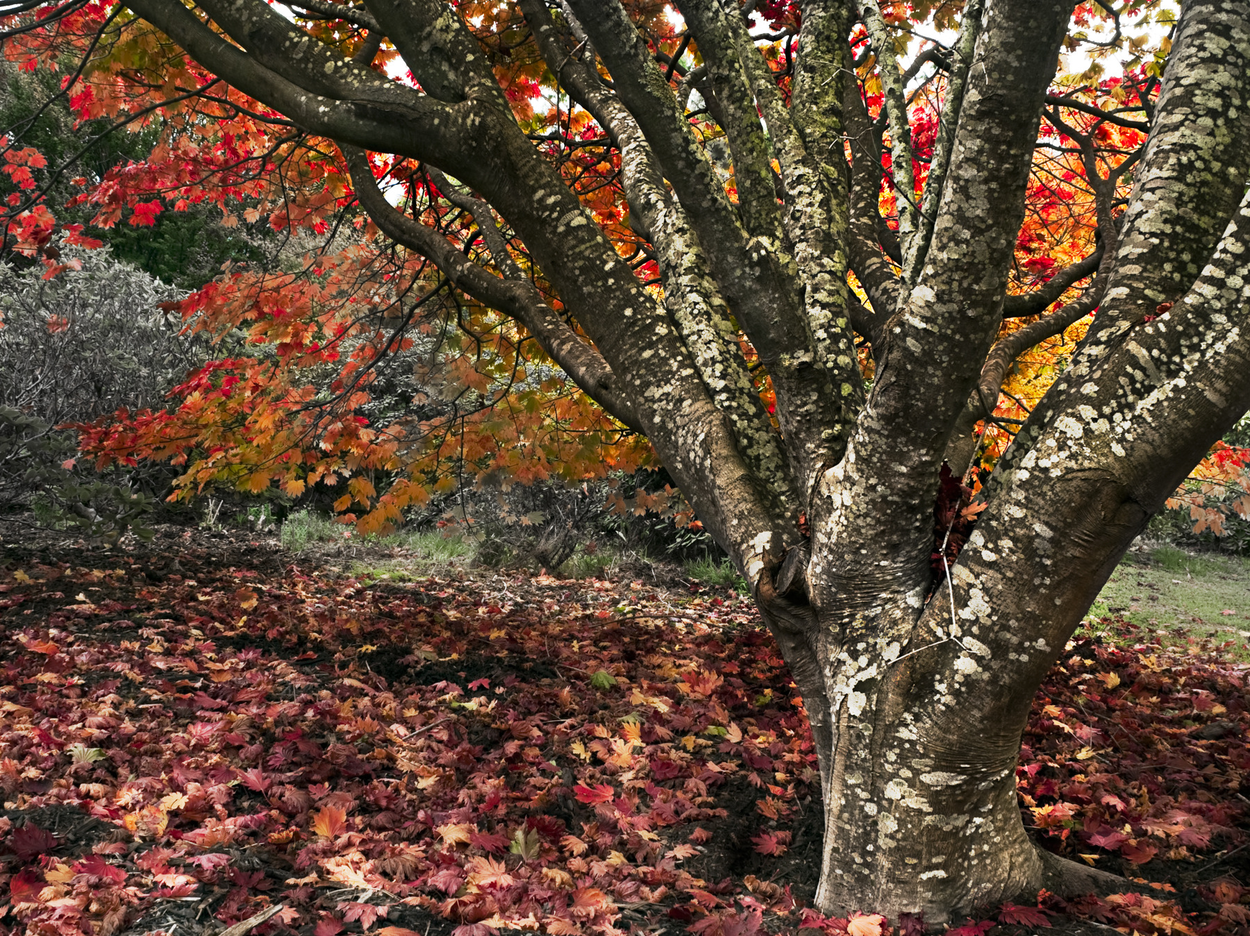 Aeon Capture Photography - 