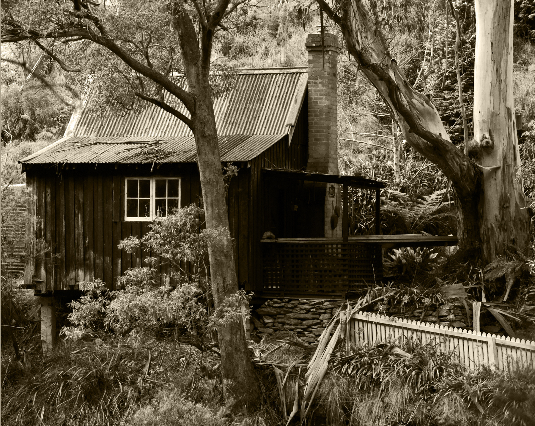 Aeon Capture Photography - 