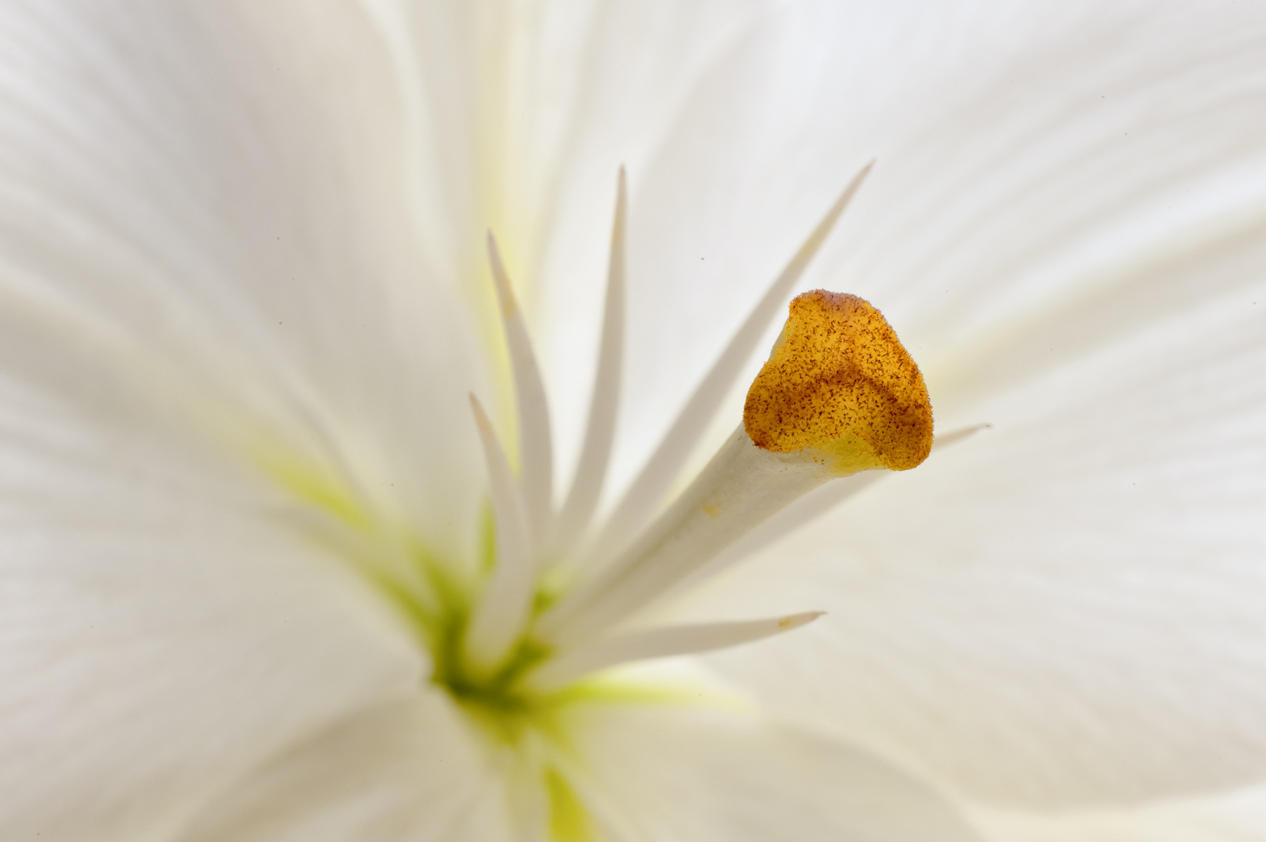 Aeon Capture Photography - 